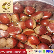New Crop Fresh Chinese Chestnut 30-40